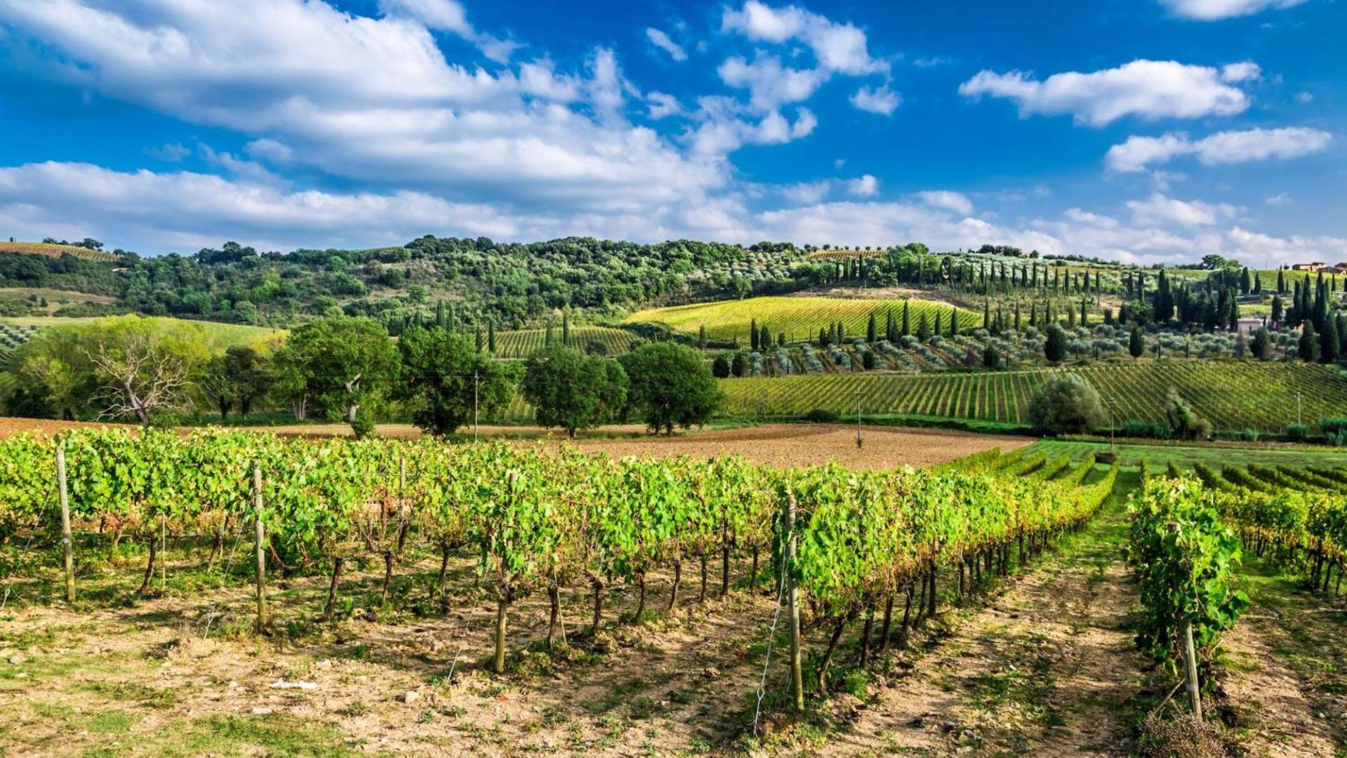 Terre Gialle - La Val D'Orcia Nascosta Castel del Piano  Exterior photo